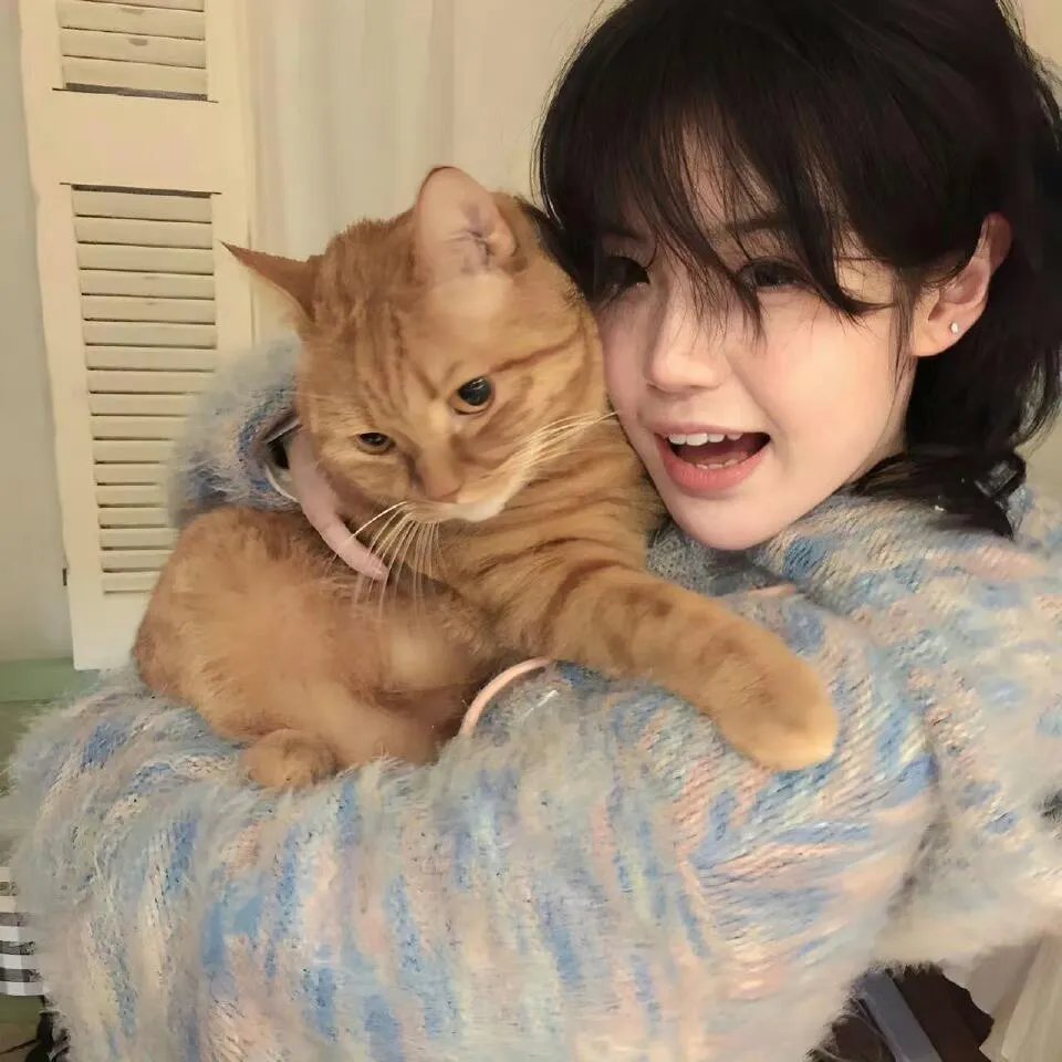 宇宙战舰大和号